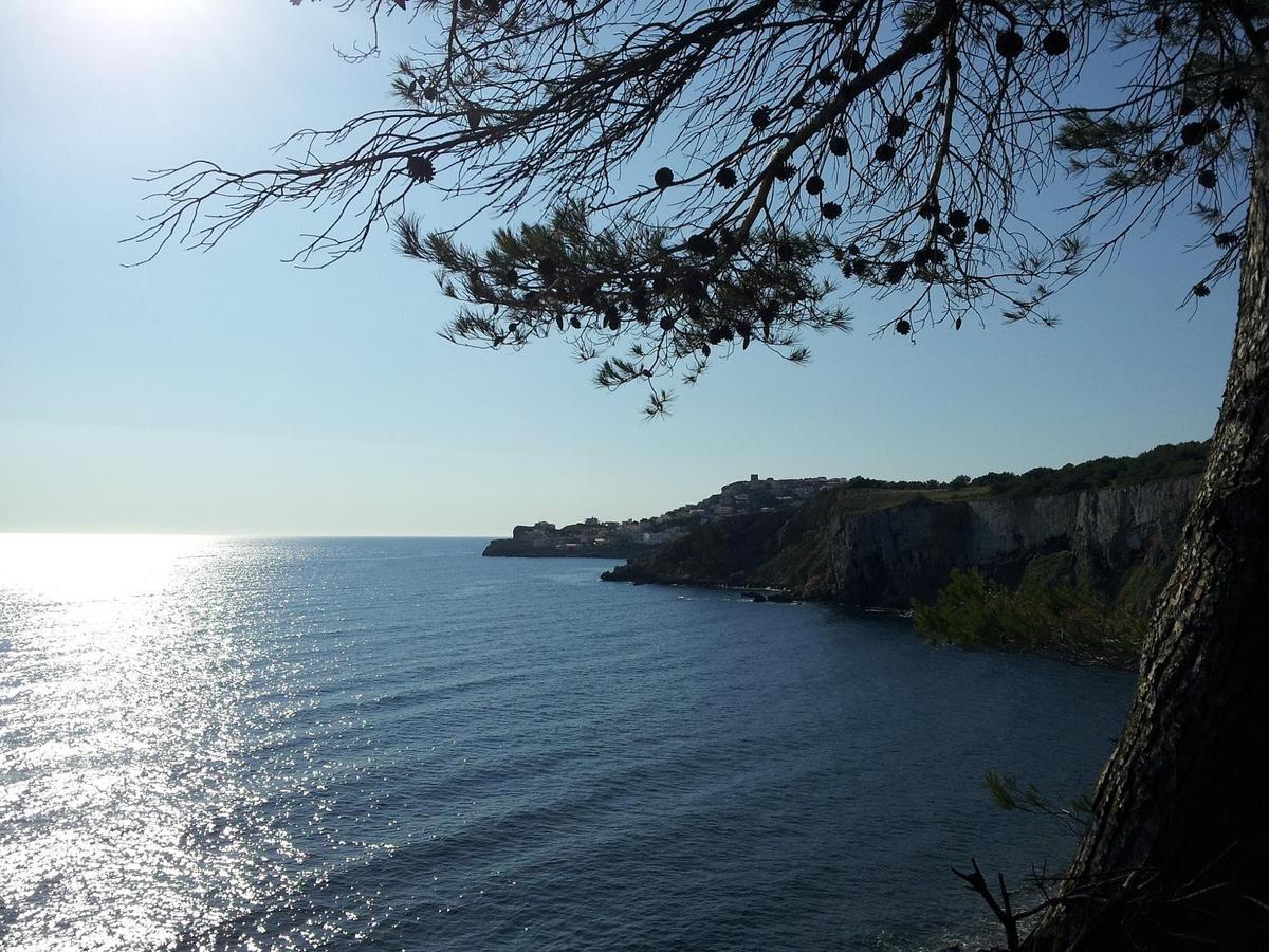 Puig Sureda - Apartamentos L' Escala Dış mekan fotoğraf